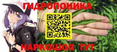твердый Гусев