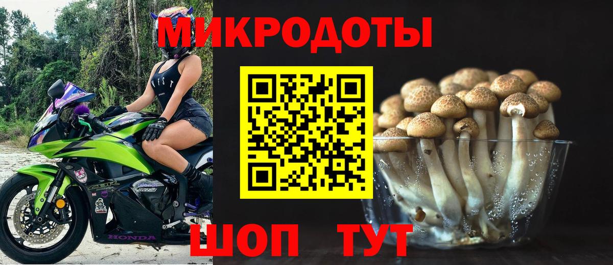Галлюциногенные грибы прущие грибы Магнитогорск